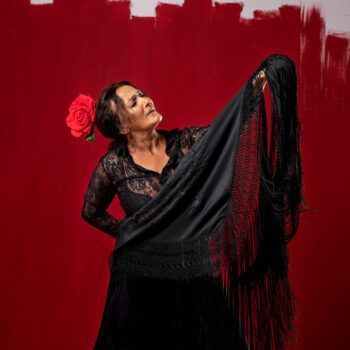 Flamenco Show Granada