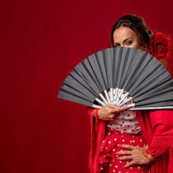 Flamenco Show Granada
